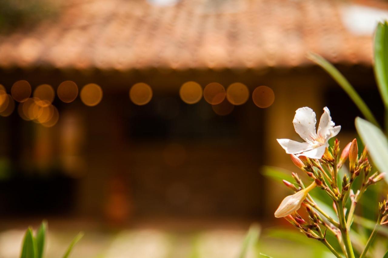 Clavellino House En Villa De Leyva - Tranquilidad Y Naturaleza En Reserva Natural Urbana! エクステリア 写真