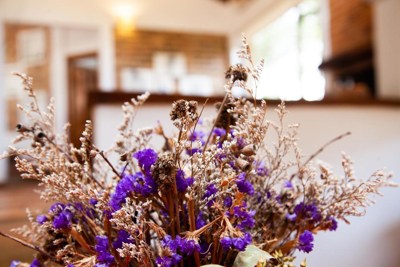 Clavellino House En Villa De Leyva - Tranquilidad Y Naturaleza En Reserva Natural Urbana! エクステリア 写真