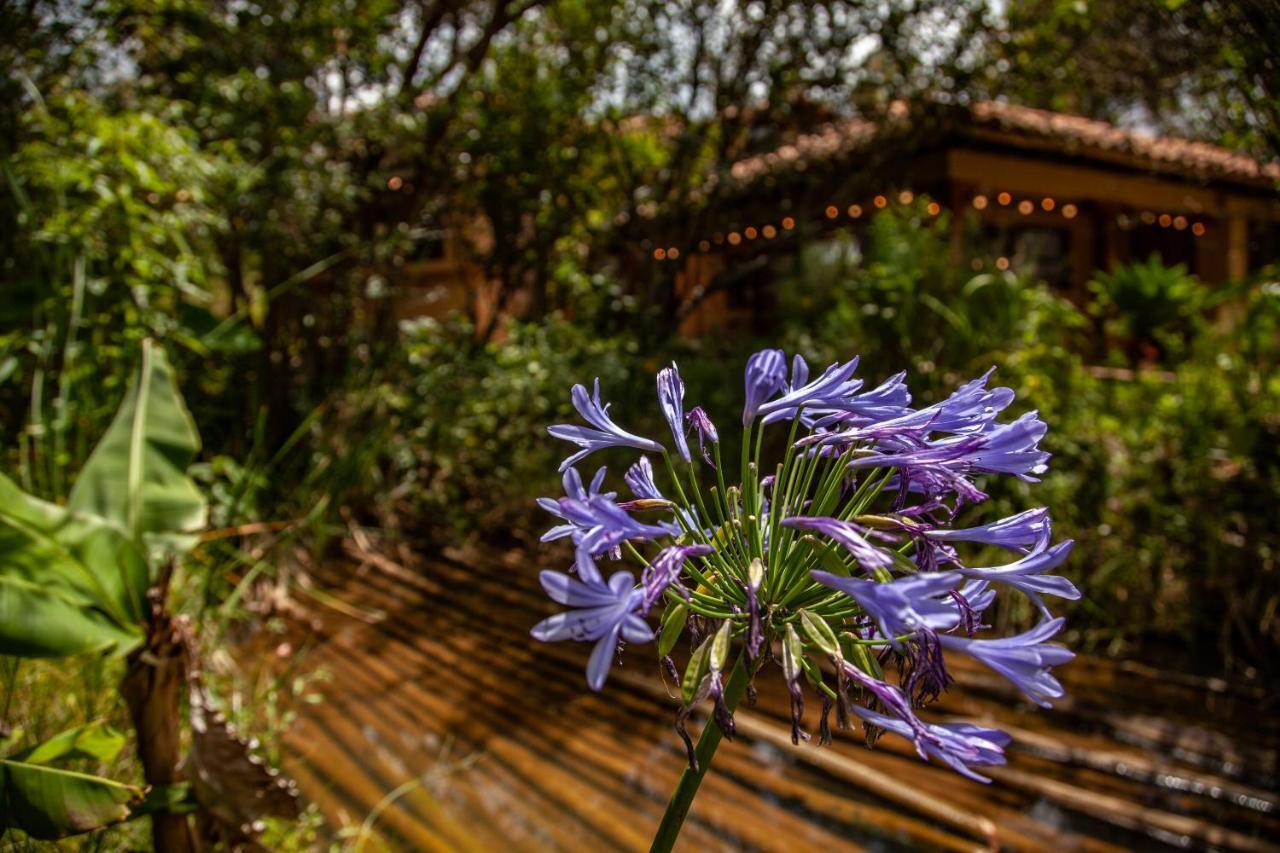 Clavellino House En Villa De Leyva - Tranquilidad Y Naturaleza En Reserva Natural Urbana! エクステリア 写真