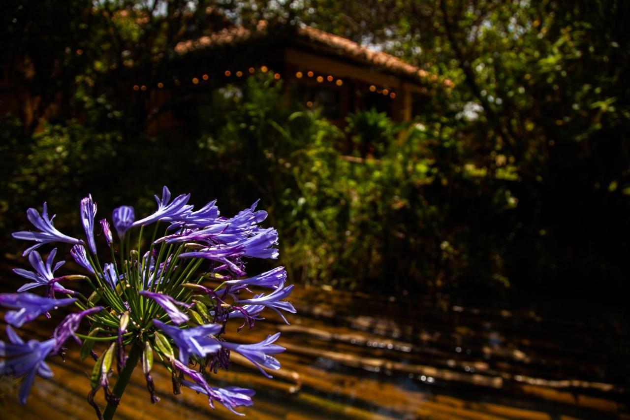 Clavellino House En Villa De Leyva - Tranquilidad Y Naturaleza En Reserva Natural Urbana! エクステリア 写真