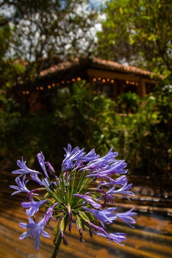 Clavellino House En Villa De Leyva - Tranquilidad Y Naturaleza En Reserva Natural Urbana! エクステリア 写真